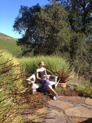 Property grounds - Vineyard FarmStay w/ Heated Pool from May-Oct. (Glen Ellen)
