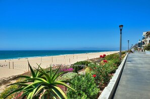 Plage à proximité, chaises longues, serviettes de plage