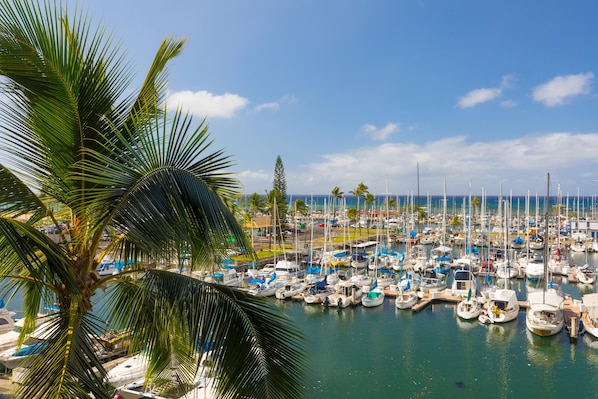 A marina with numerous boats docked, surrounded by palm trees and clear skies.
