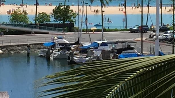 A beachside view with a marina, palm trees, and a clear blue sky.