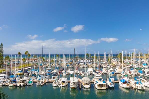 A marina filled with various boats docked at the pier.