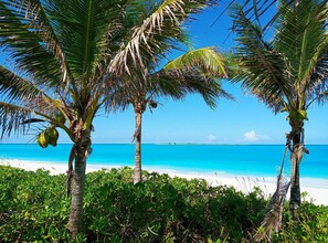 Una playa con palmeras y agua azul cristalina.