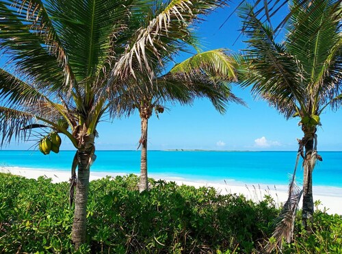  Stunning Waterfront and Tiki Bar - Paradise Found Villa- HGTV Bahamas Life!