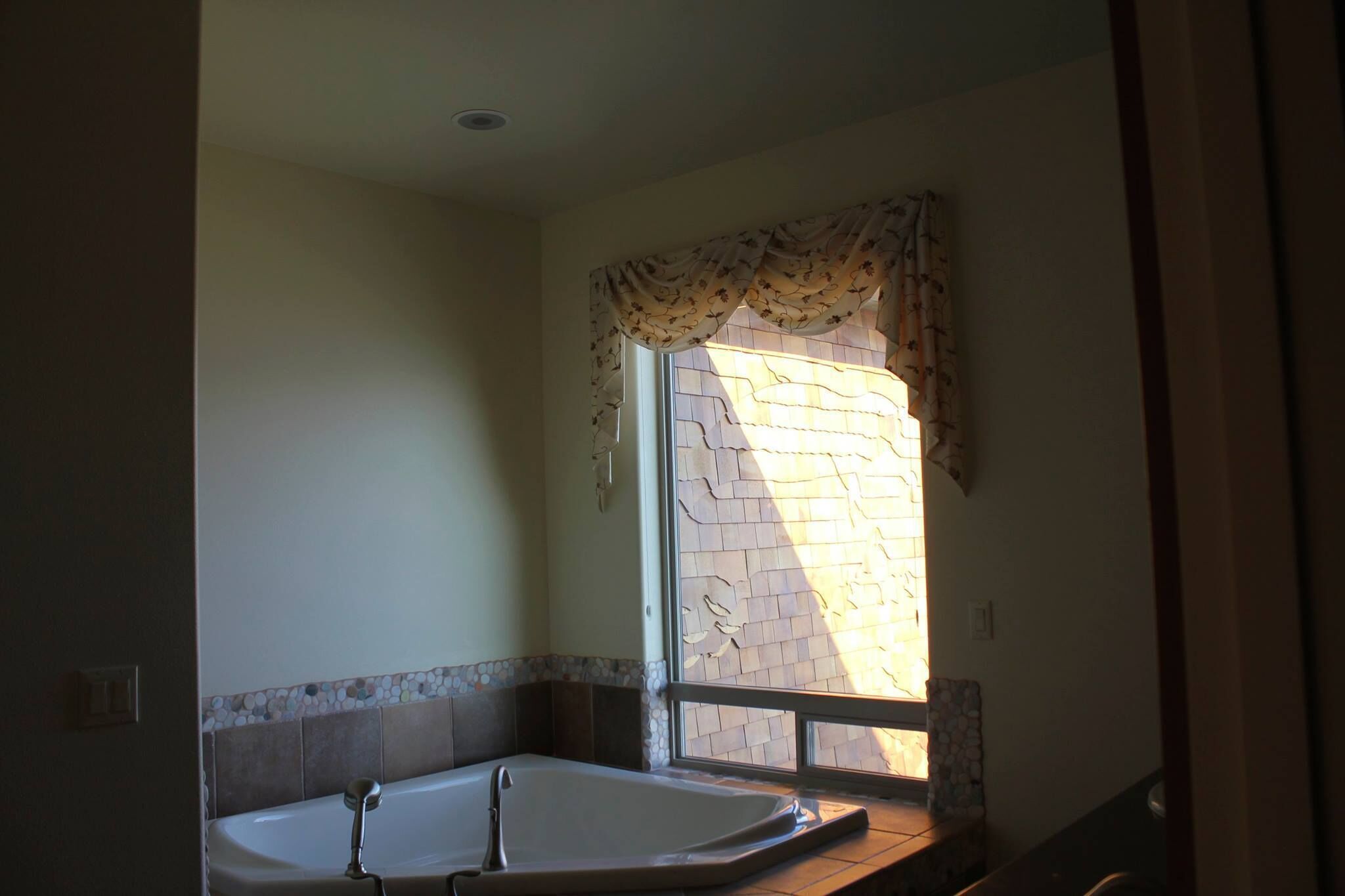 Sip Your Morning Coffee and Watch Sea Otter and Sea Lions Play