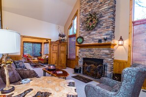 TV connectée, cheminée, lecteur de DVD, livres