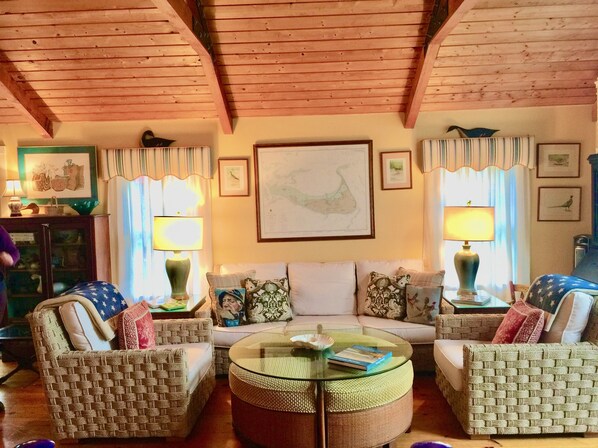 Smart TV, fireplace, DVD player, books