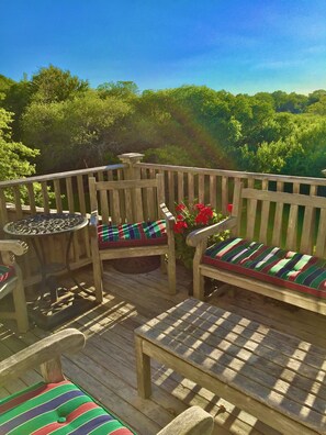 Terrace/patio - Lily Pond Views  Ideal Nantucket Home in Historic District Best Location in Town (Nantucket)