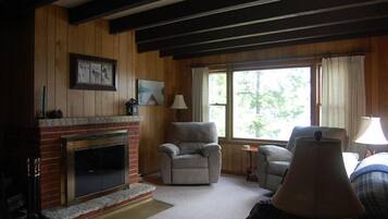 Télévision, cheminée, lecteur de DVD, vidéothÚque