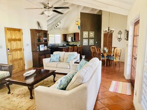 Smart TV, DVD player, books, video library