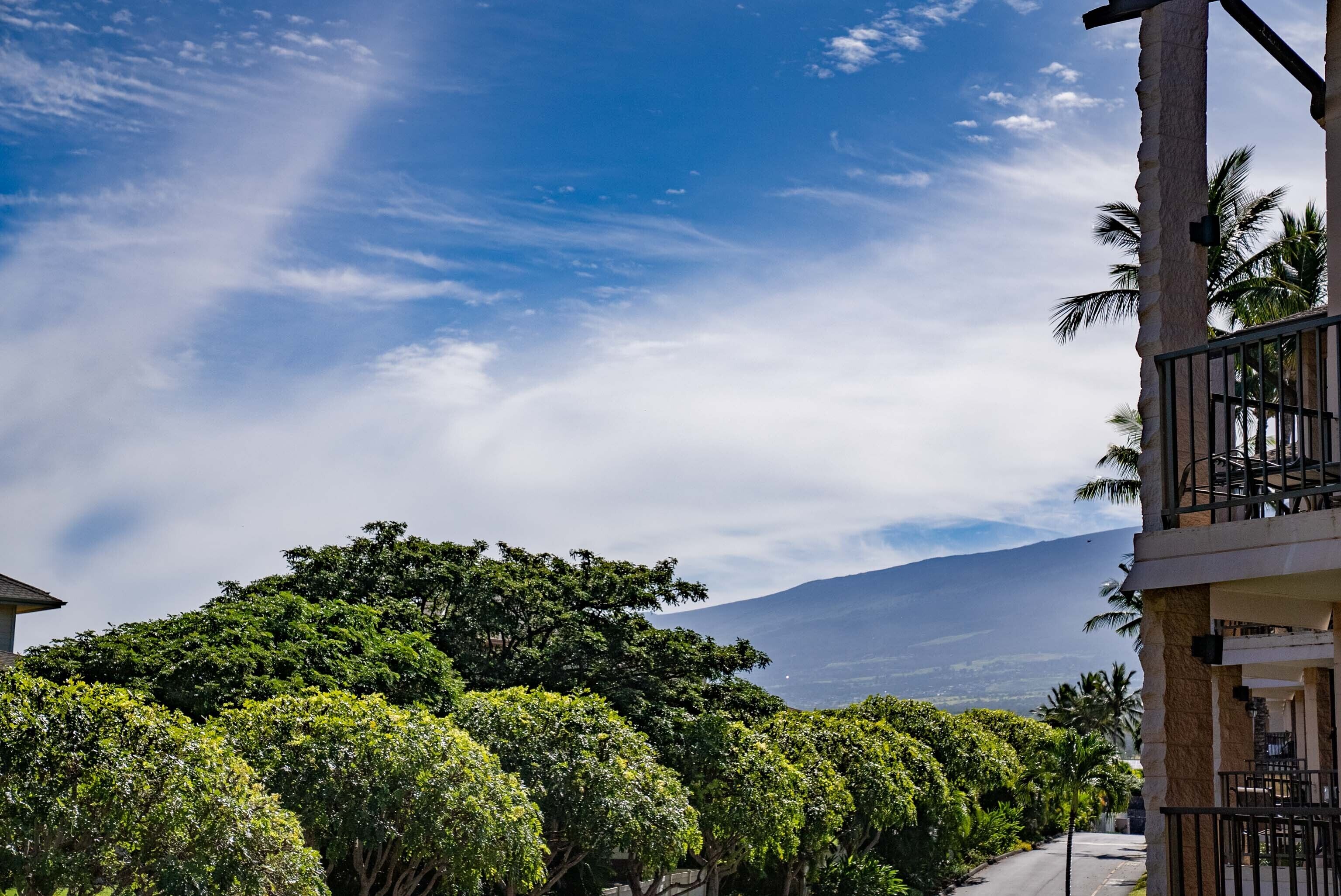 A residential area with a clear sky, lush greenery, and a mountain in the background.