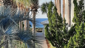 A pathway lined with palm trees and other greenery, leading to a building with a view of the ocean. - Luxe gulf side living between Rosemary & Alys - walk to beach & oceanfront pool  (Panama City Beach)