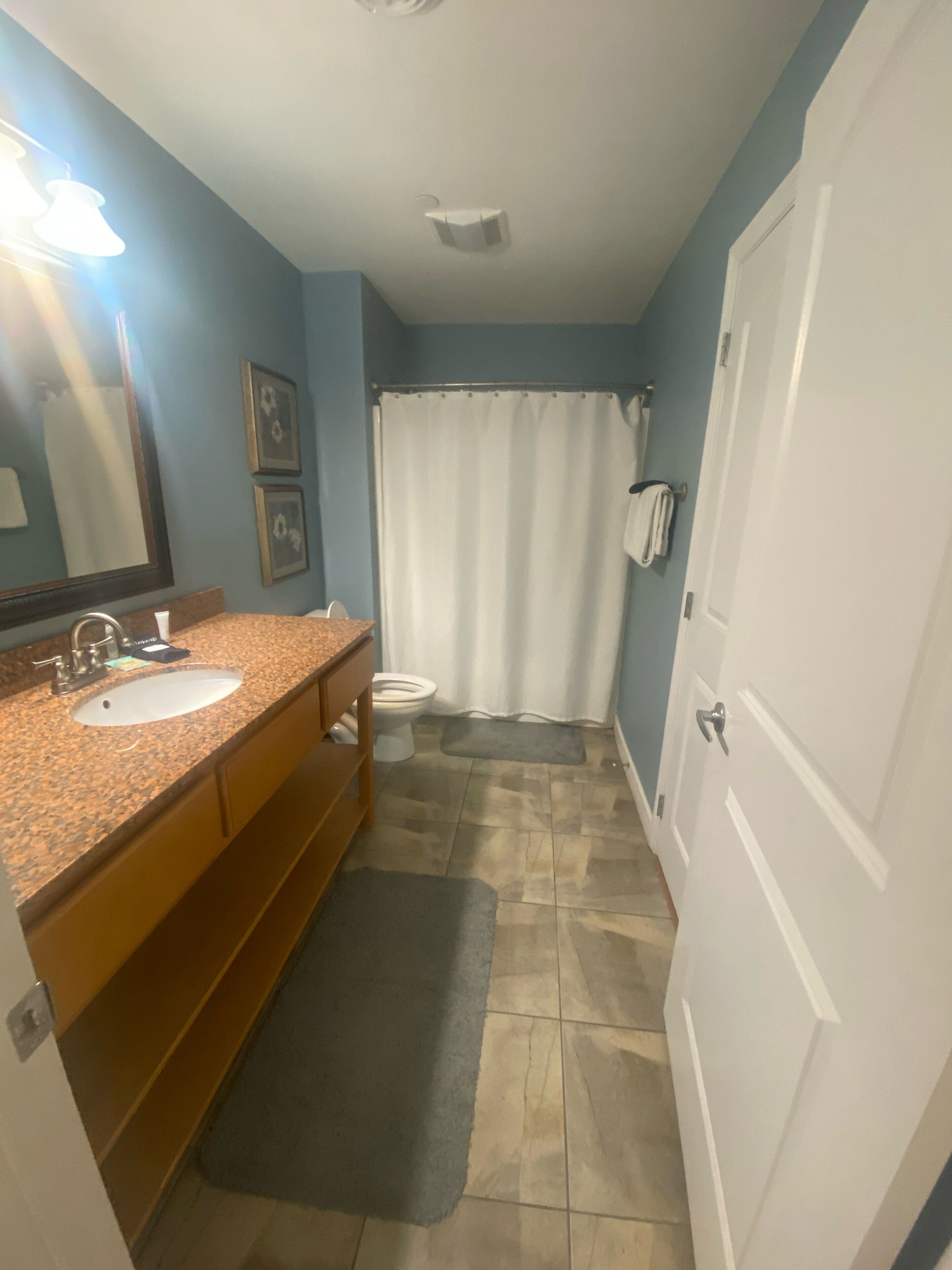 A bathroom with a granite sink, a toilet, a shower curtain, and a white door.