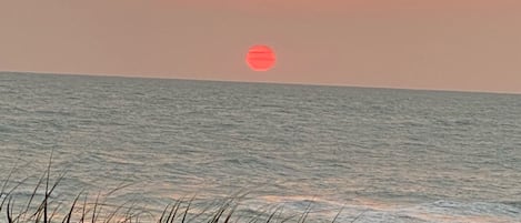 海灘、躺椅、沙灘巾