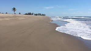 A wide sandy beach with gentle waves, palm trees, and a clear blue sky. - 2 BR condo nestled between Pacific Ocean beach and golf course    (Mazatlan)