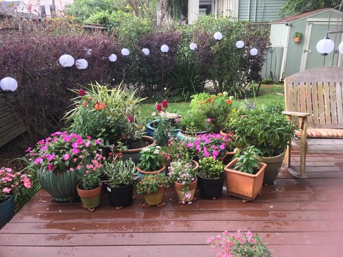 Camelback encantador en la parte alta disponible; Dos dormitorios en piso privado.