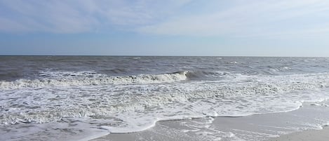 Beach | On the beach, sun-loungers, beach towels