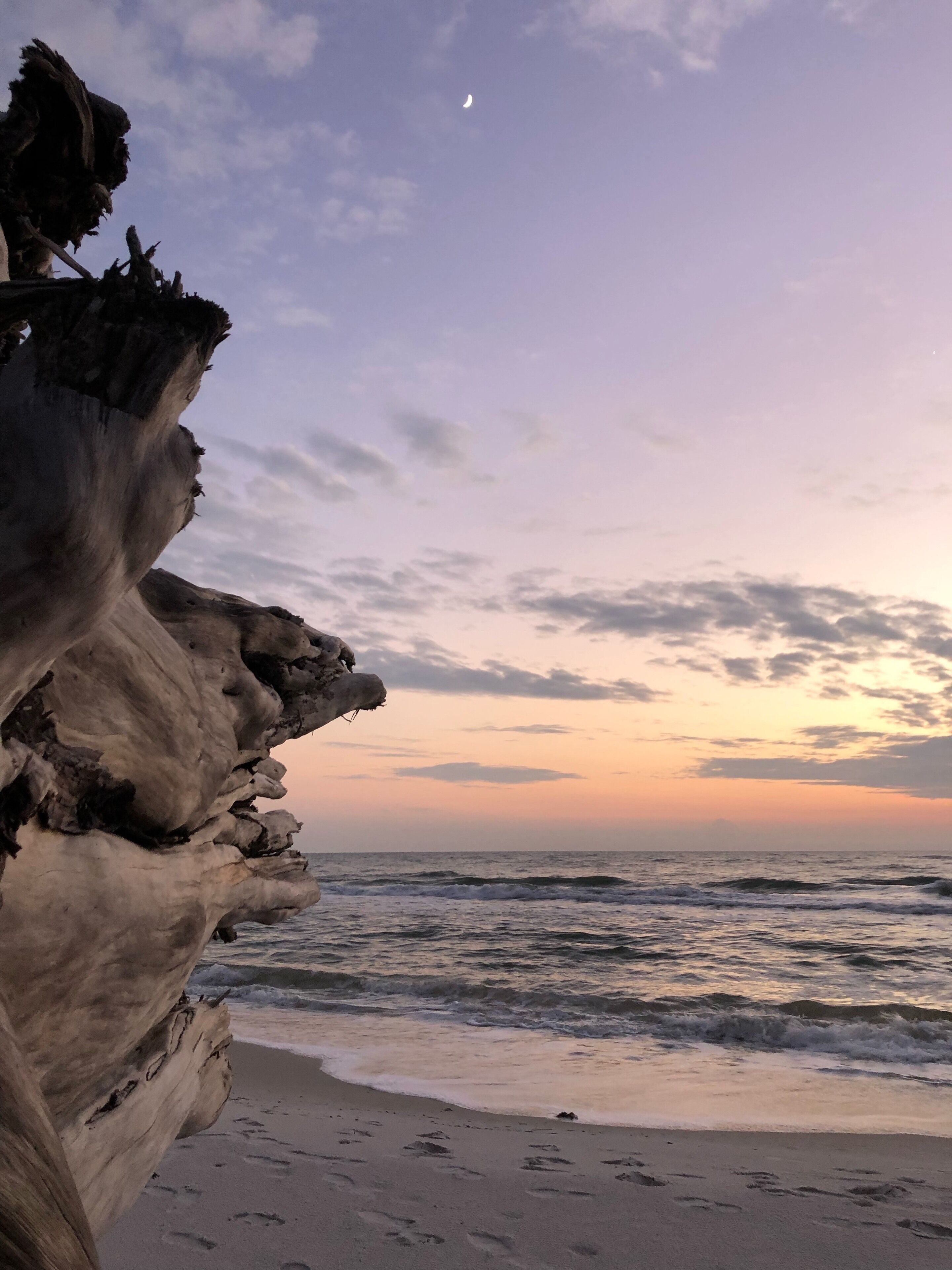 Accommodatie ligt op het strand, ligstoelen, strandlakens