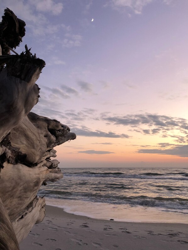 Plage, chaises longues, serviettes de plage