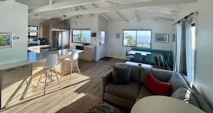 Beach House in Del Mar - Amazing Ocean Views!