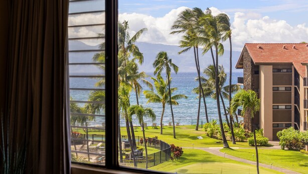 Une vue depuis une fenêtre donnant sur un paysage tropical, avec des palmiers, un sentier et un bâtiment doté d’un toit rouge.
