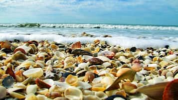 Ubicación a pie de playa y toallas de playa