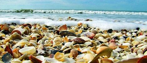 En la playa, toallas de playa