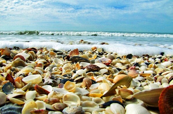 På stranden og strandhåndklær