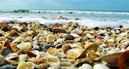 Sanibel Surf Sounds Suora Beachront - Päivitetty 2 Bdrm / 2 Bath Wifi ja polkupyörät