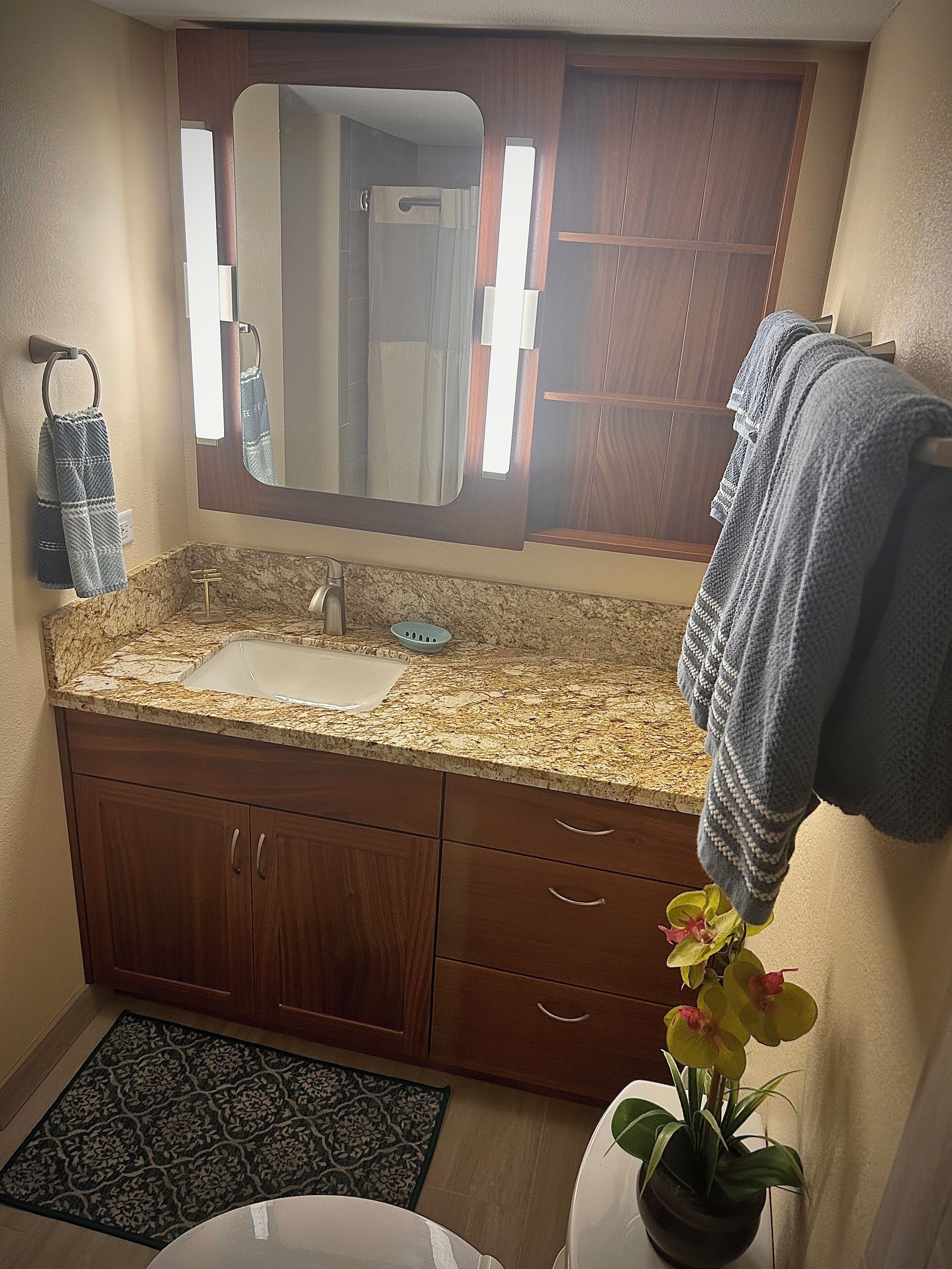 A bathroom with a granite countertop sink, wooden cabinets, a mirror, a towel rack, and a potted plant.