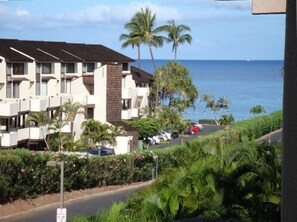 Enjoy breathtaking ocean views from the comfort of your balcony amidst lush greenery and palm trees.