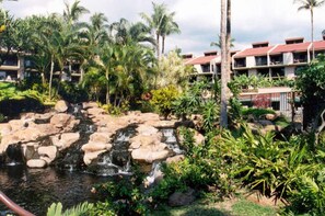 Surrounded by lush tropical vegetation and a serene water feature, this resort offers a peaceful escape.