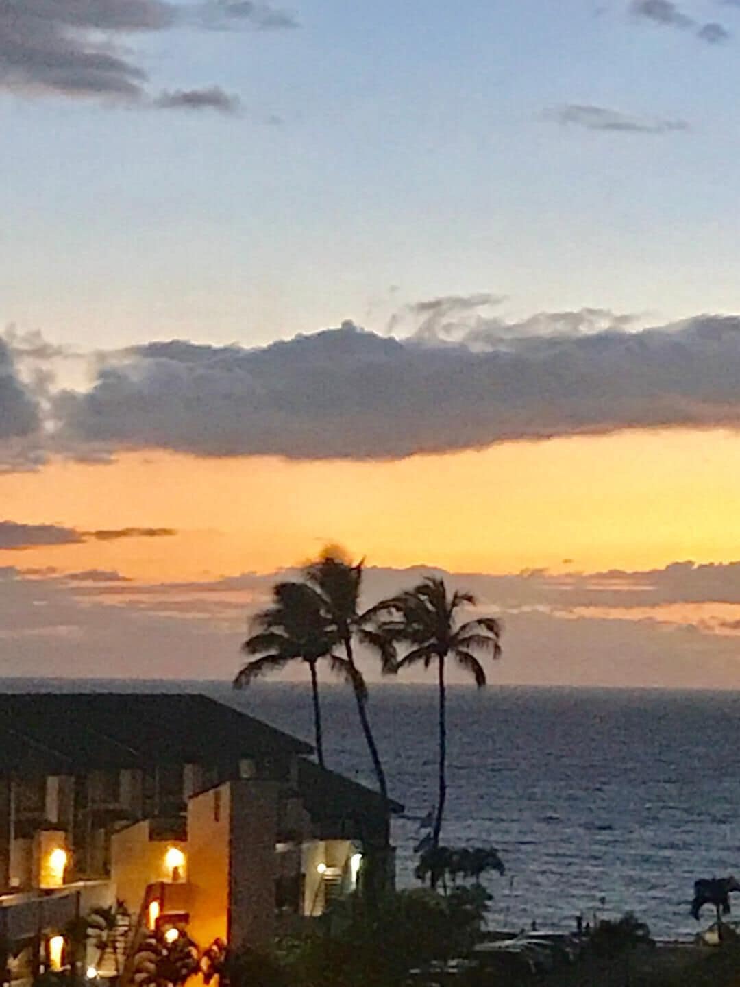 Une vue sur la côte, avec un coucher de soleil, des palmiers et un bâtiment dont les fenêtres sont illuminées.