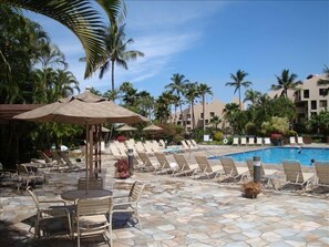 Relax by the pool surrounded by lush greenery and palm trees.