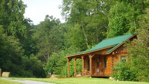 A rustic cabin with a green roof, surrounded by lush greenery and a gravel path leading to it. - Couples Getaway with a Great Mountain View (Blue Ridge)