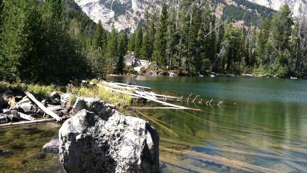Paisaje montañoso con un lago cristalino, rodeado de un bosque denso y terreno rocoso.