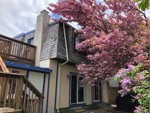 Exterior - WALK EVERYWHERE!  SPACIOUS 4BR HOUSE, IN-TOWN REHOBOTH BEACH! PET-FREE. (Rehoboth Beach)