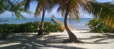 Plage, chaises longues, serviettes de plage