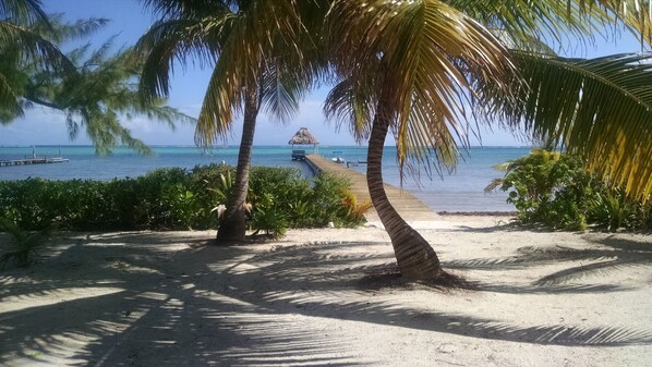 Plage, chaises longues, serviettes de plage