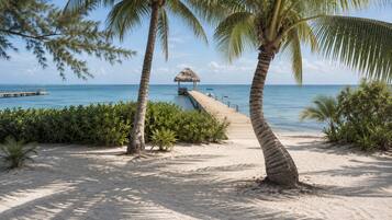 Plage, chaises longues, serviettes de plage
