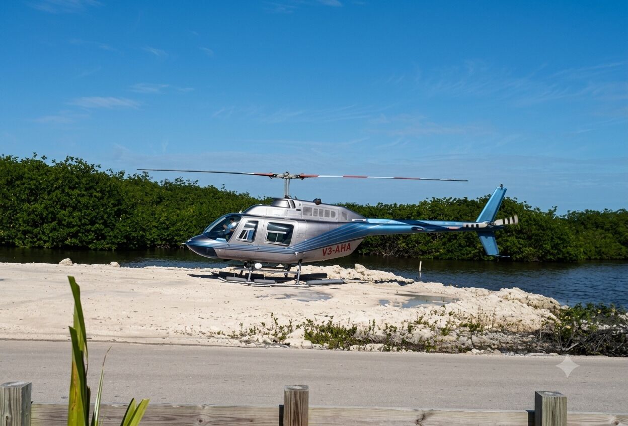 Un helicóptero estacionado en una zona arenosa cerca del agua, con abundante vegetación de fondo.