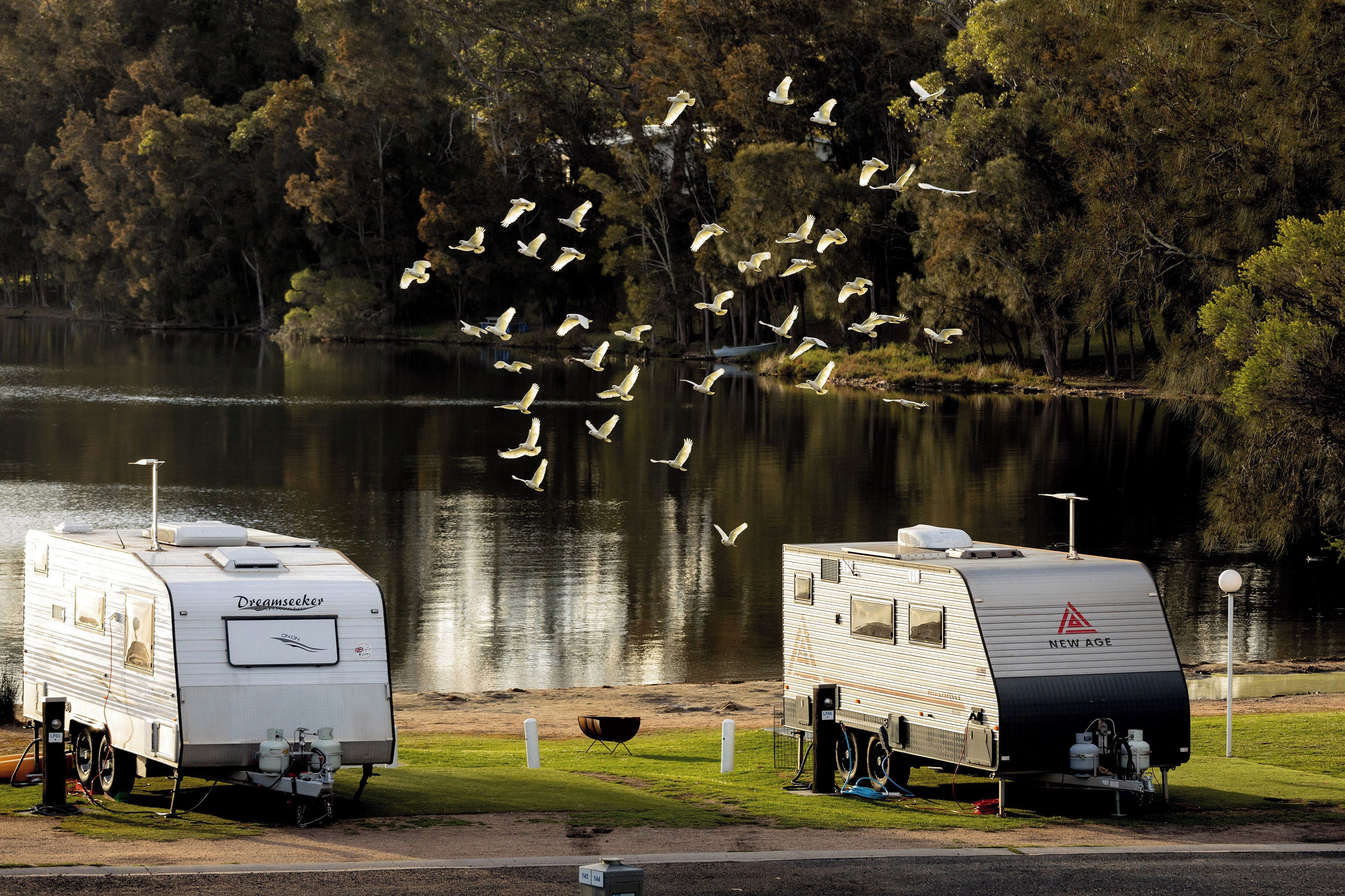 Two RVs parked by a lake with trees in the background.