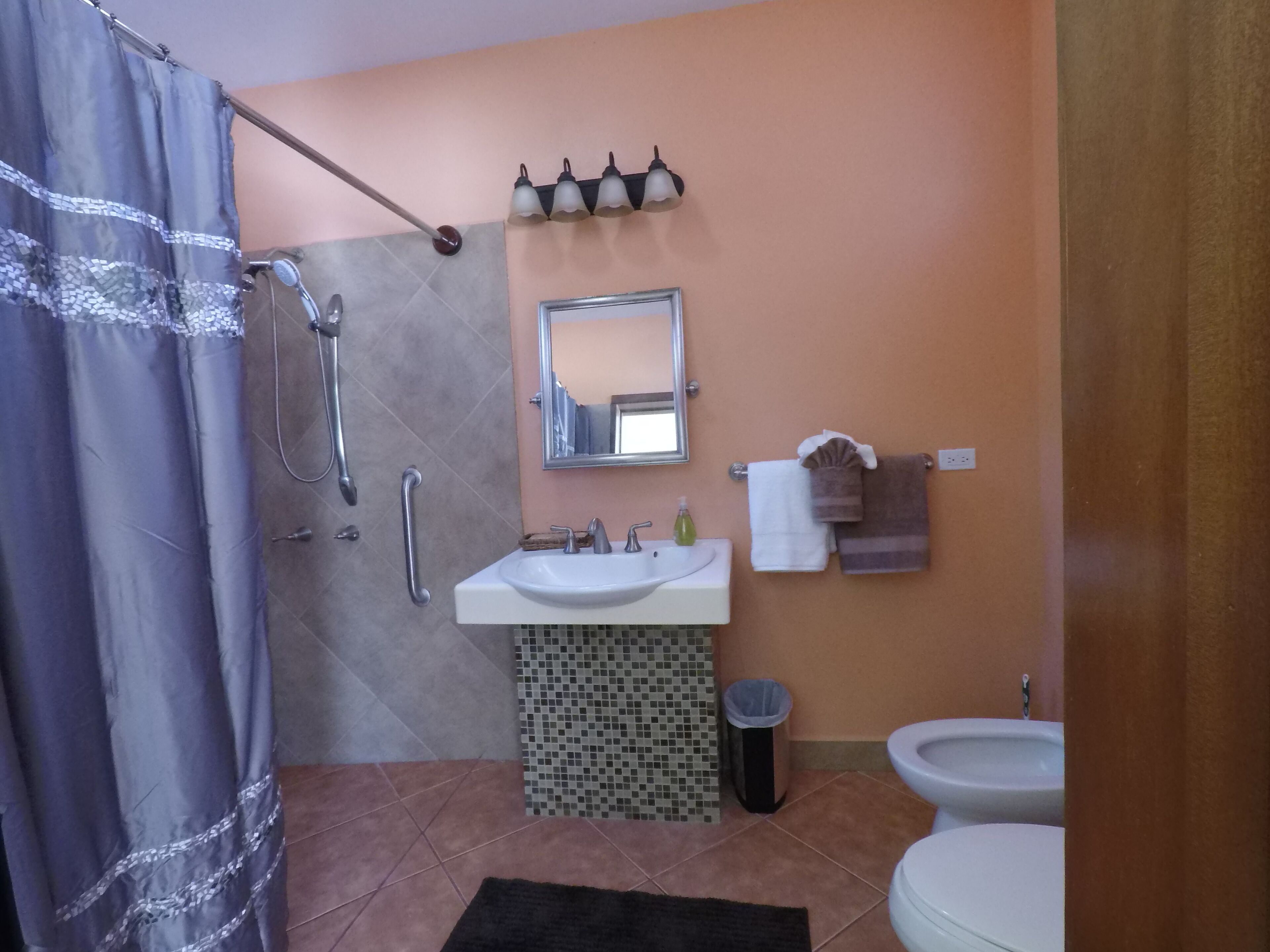 Een badkamer met een douche, handgrepen, een wastafel, een spiegel, een toilet en een prullenbak.