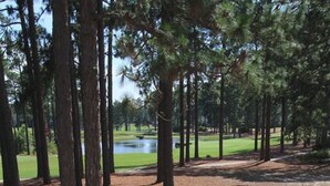 Unclassified image, 4 of 25, button - Beautiful 4- Bedroom Cottage (WITH X2 QUEEN BEDS IN EACH BEDROOM) overlooking the 9th Green at Pinehurst National No.9 (Pinehurst)