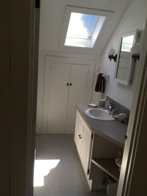 A small, well-lit bathroom with a skylight, a white sink, and a mirror above it.