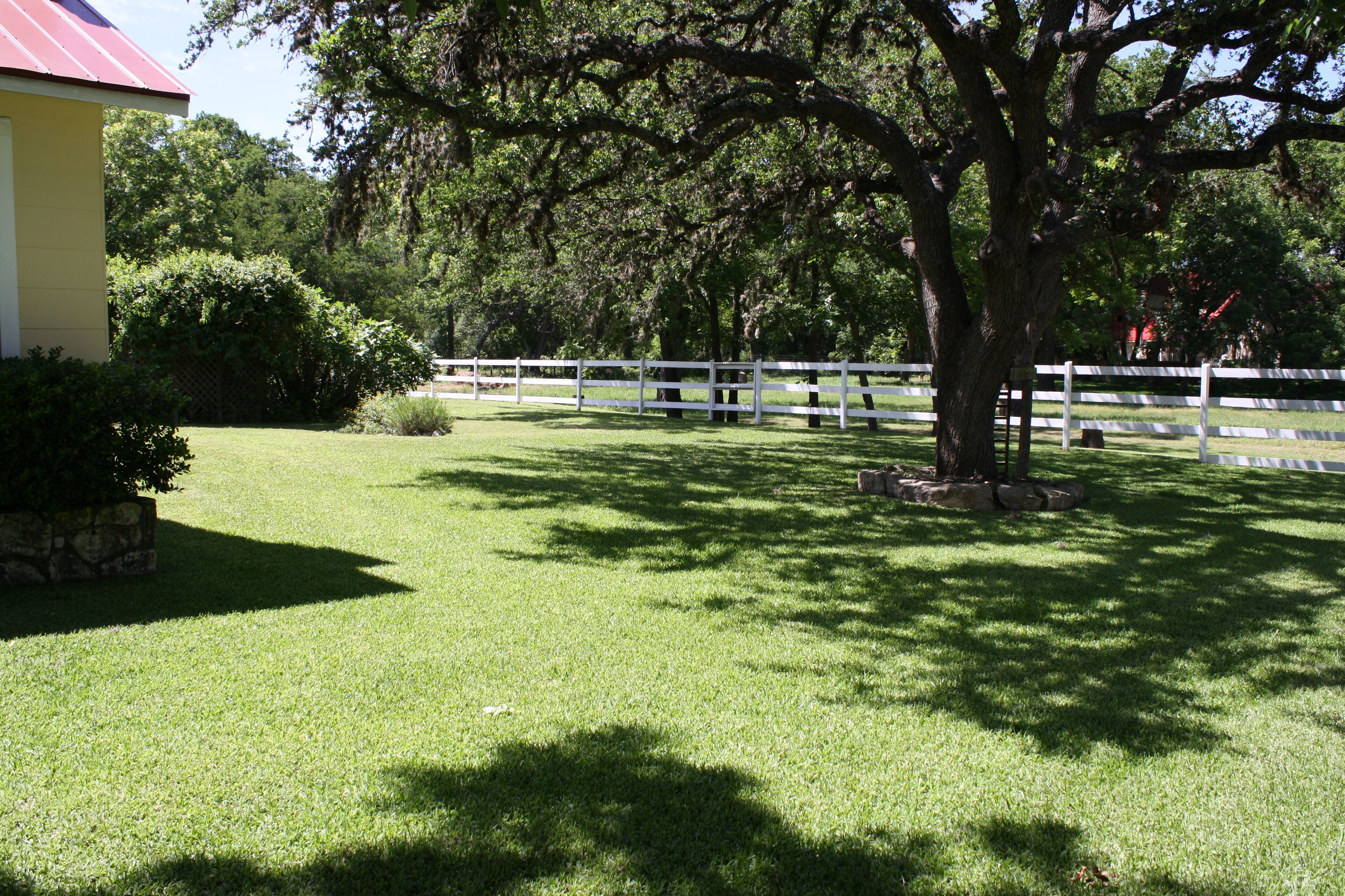A well-maintained grassy area with a white fence, a large tree, and a yellow building with a red roof.