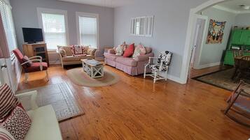 Télévision, cheminée, lecteur de DVD, livres