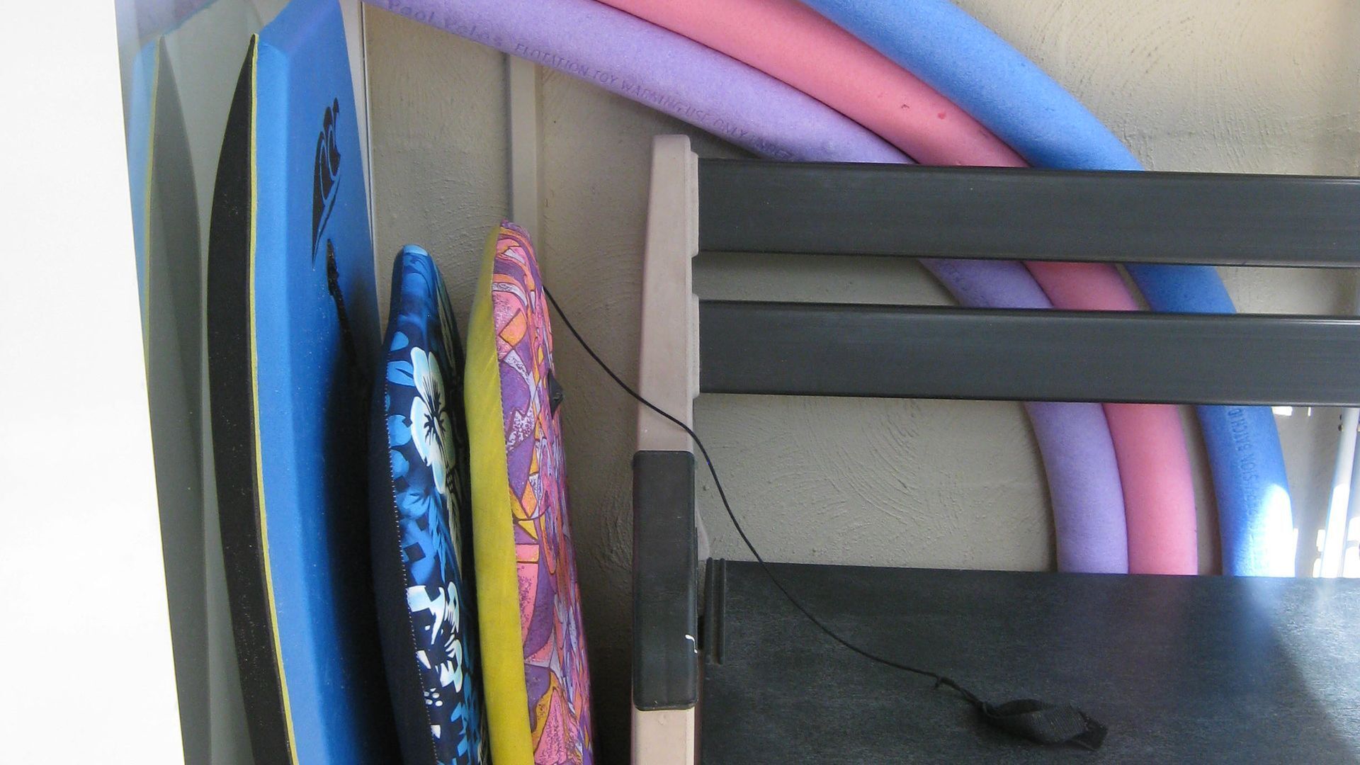 Currumbin Sanctuary No. 13 — image 2