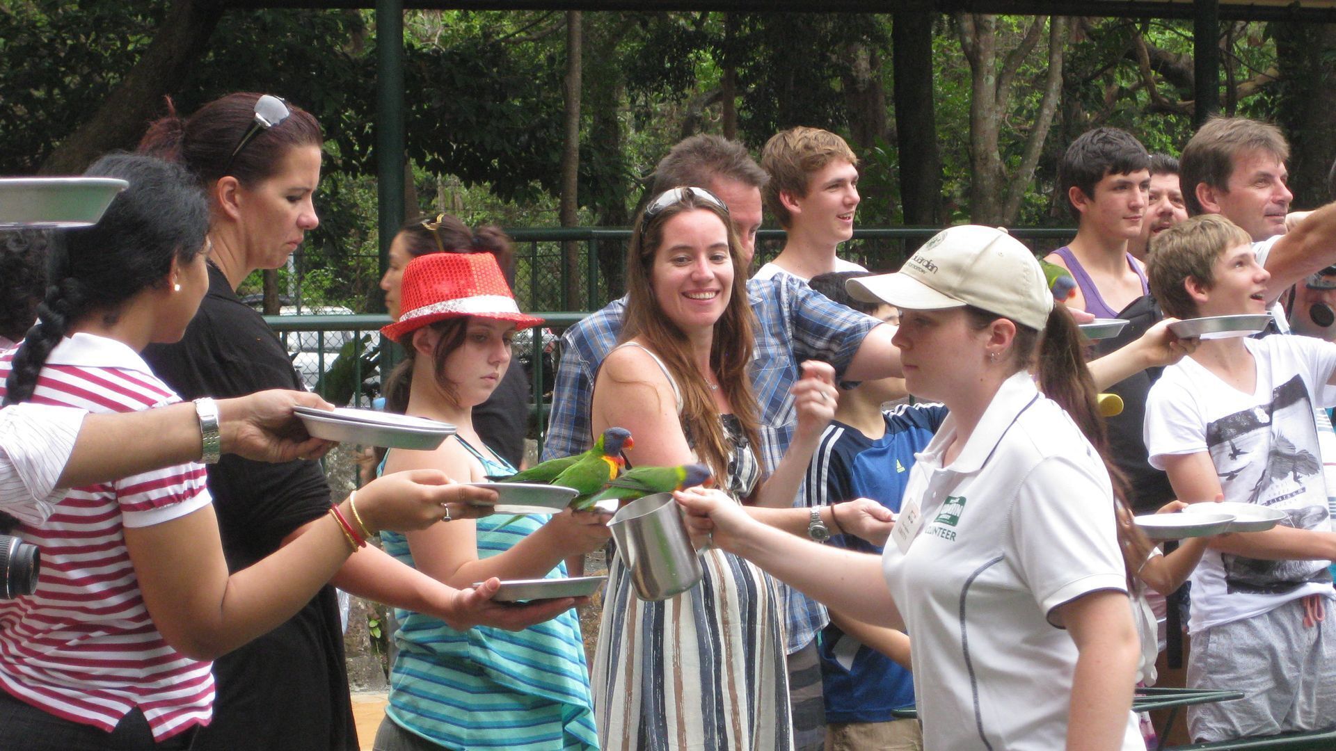 Currumbin Sanctuary No. 13 — image 25