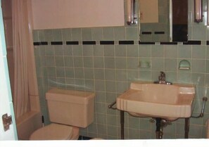 Ensemble baignoire-douche, séchoir à cheveux, serviettes fournies, savon