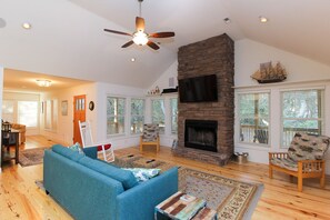 TV connectée, cheminée, lecteur de DVD, livres